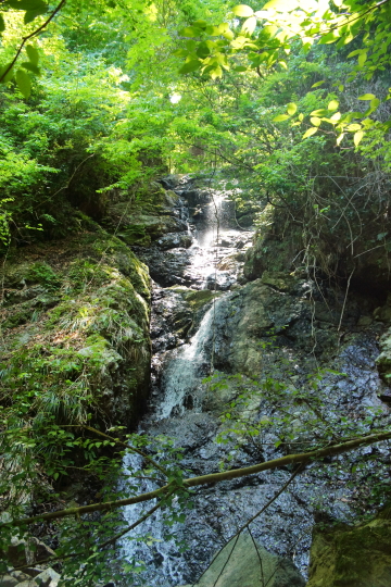 天子の七滝不動の滝？清涼の滝？