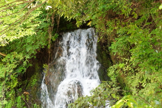 湯河原だるま滝