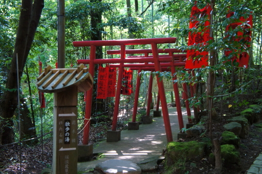 湯河原万葉公園内の狸福神社