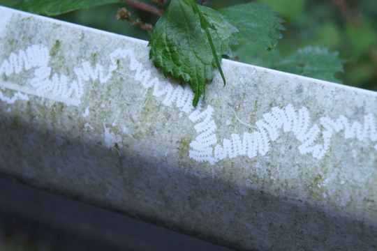 カタツムリの跡