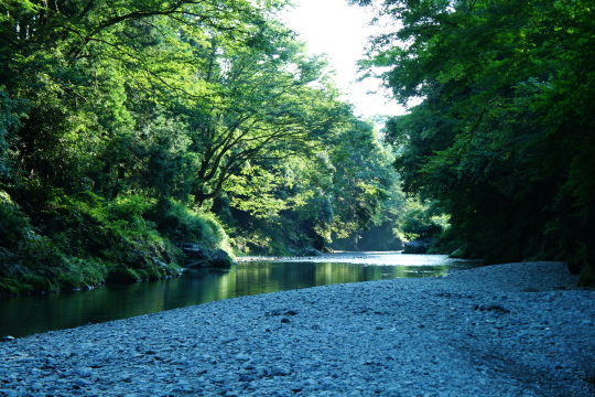 秋川渓谷のキャンプ場