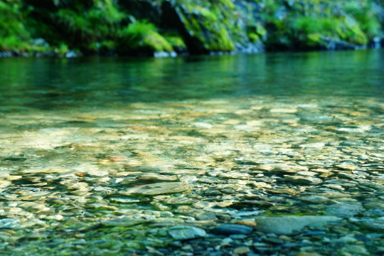 秋川渓谷のキャンプ場