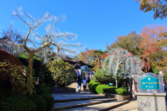箱根ガラスの森美術館