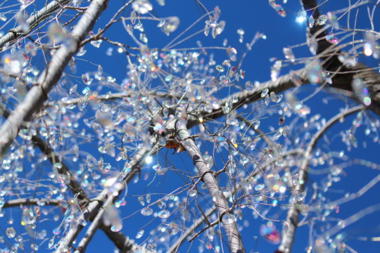 箱根ガラスの森美術館のクリスタル・ガラス