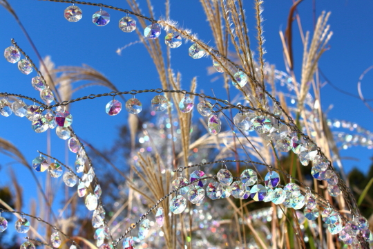 箱根ガラスの森美術館のクリスタル・ガラスのススキ