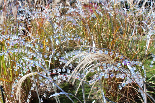 箱根ガラスの森美術館のクリスタル・ガラスのススキ