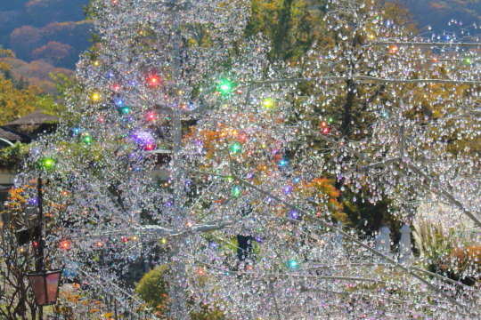 箱根ガラスの森美術館のクリスタル・ガラスのツリー