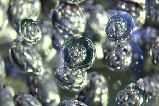 箱根ガラスの森美術館