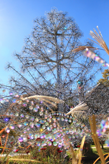 箱根ガラスの森美術館のクリスタル・ガラスのススキ