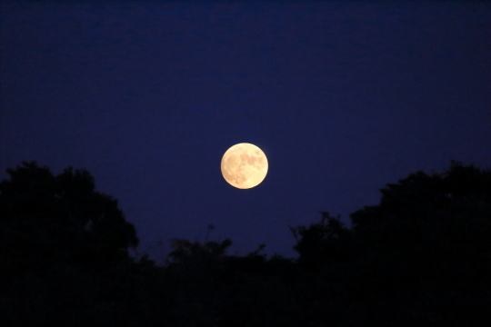 中秋の名月の前日の月